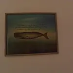 The Whale Αλγκέρο