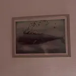The Whale Bed and Breakfast Αλγκέρο
