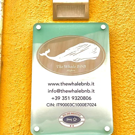 The Whale